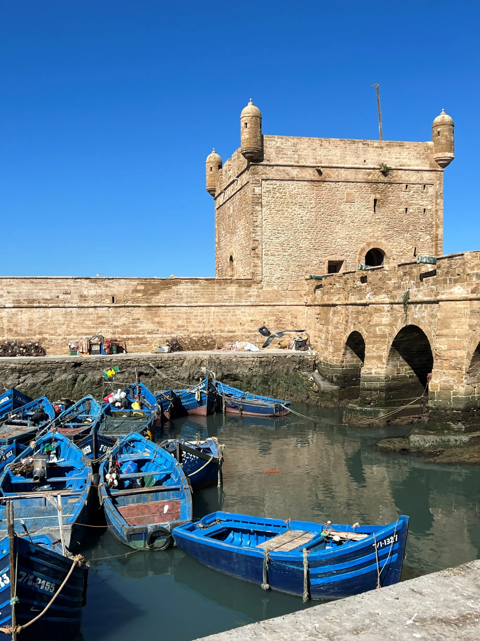 Blue fishing boats below the ramparts of Essaouira port