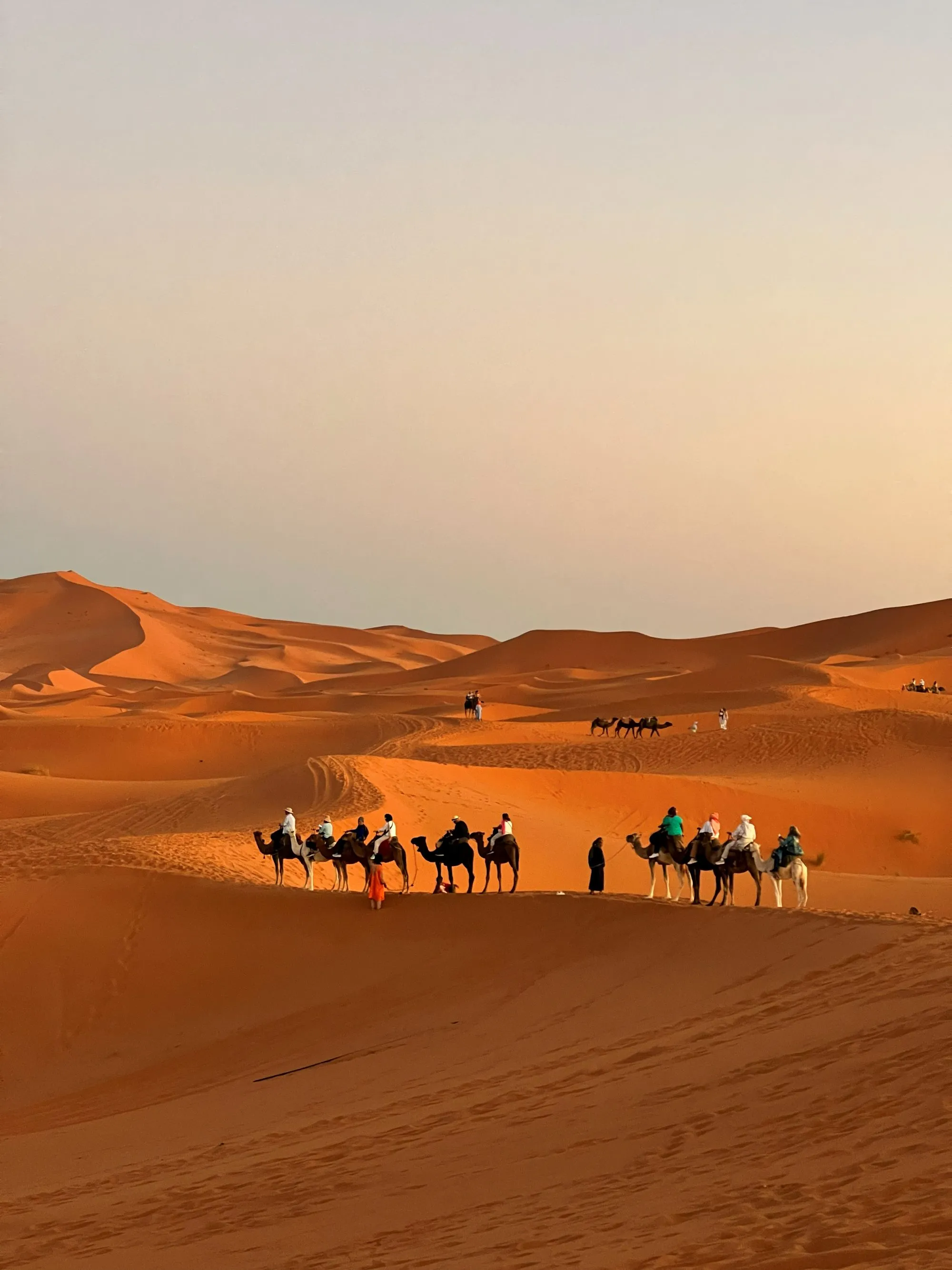 A camel caravan crossing the Sahara dunes at golden sunset near Merzouga